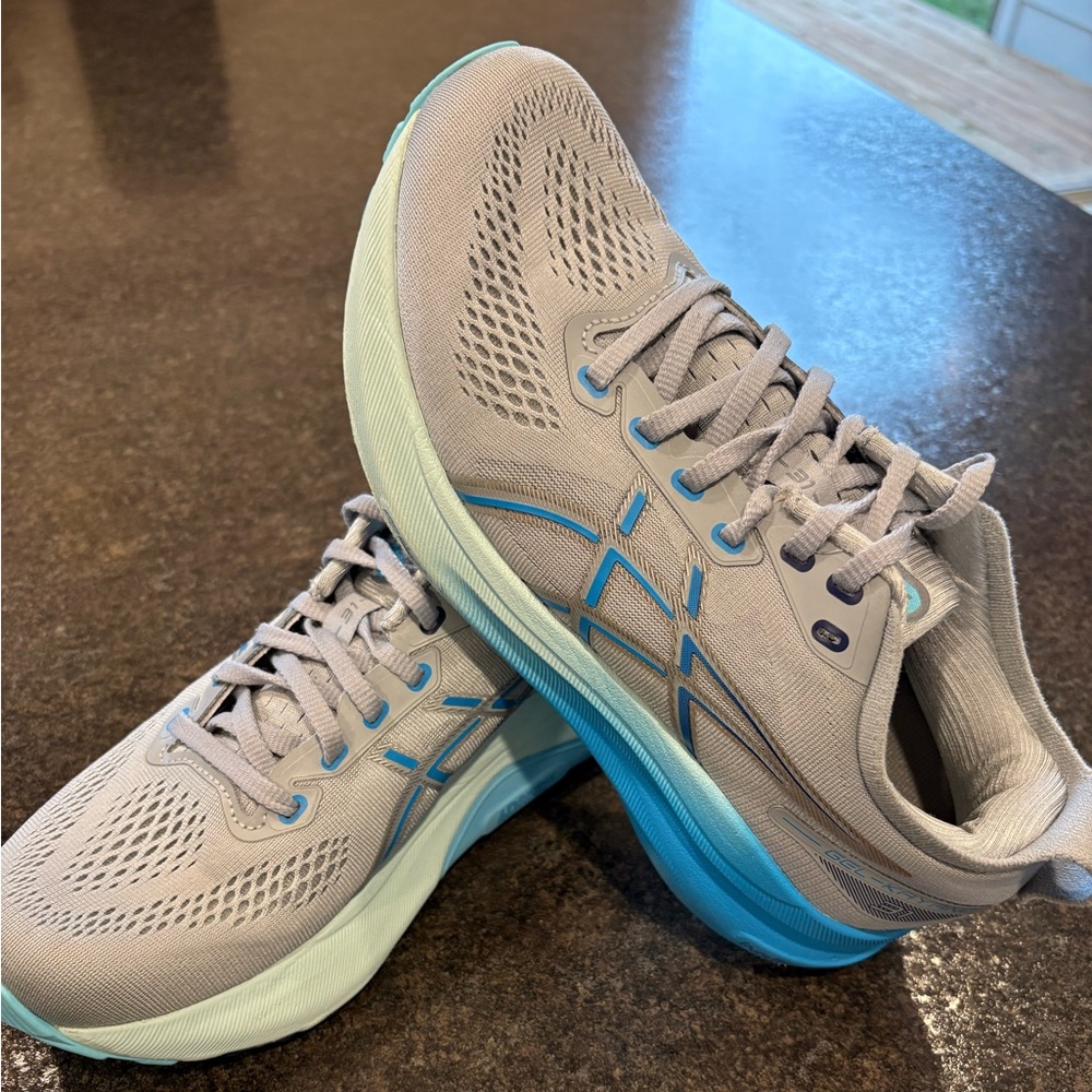 ASICS Gel-Kayano 31 in Gray and Aqua